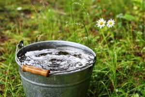 Bucket of water